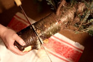 sawing christmas tree trunk