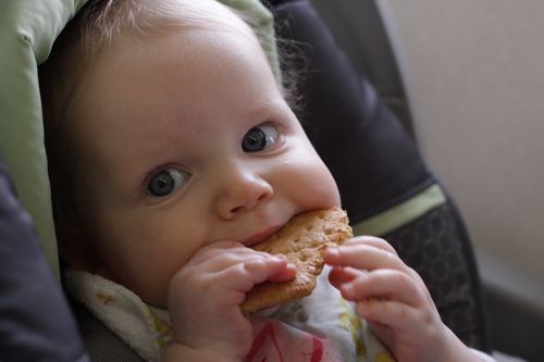 baby with cracker on airplane
