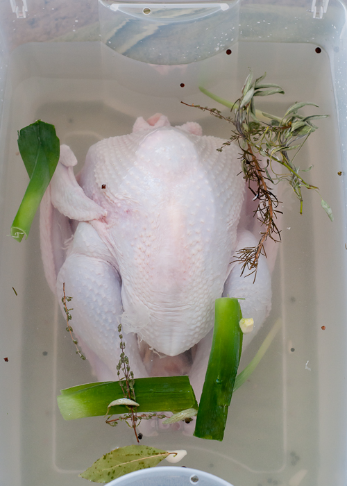 how to properly brine a turkey | 7 Secrets For a Juicy Thanksgiving Turkey featured by top lifestyle blog, Design Momer, Design Mom