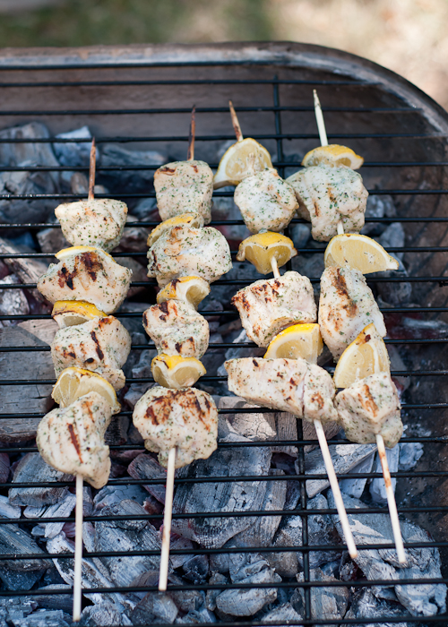 Your Complete Guide to Cooking on a Grill. 40 tips!  |  Design Mom