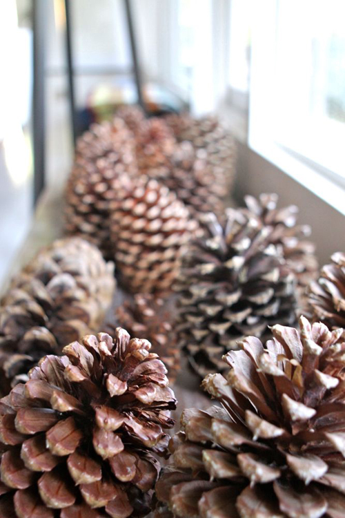 Oversize pinecones. From The Treehouse Living Room Tour. | Design Mom