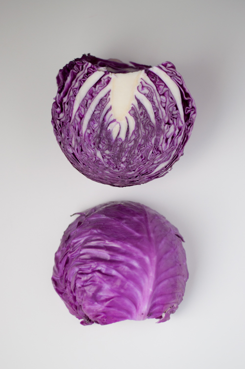 Dye Eggs with Red Cabbage for Gorgeous, Natural Look   |   Design Mom