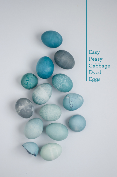 Pewarna Alami Mudah Untuk Telur Paskah Design Mom