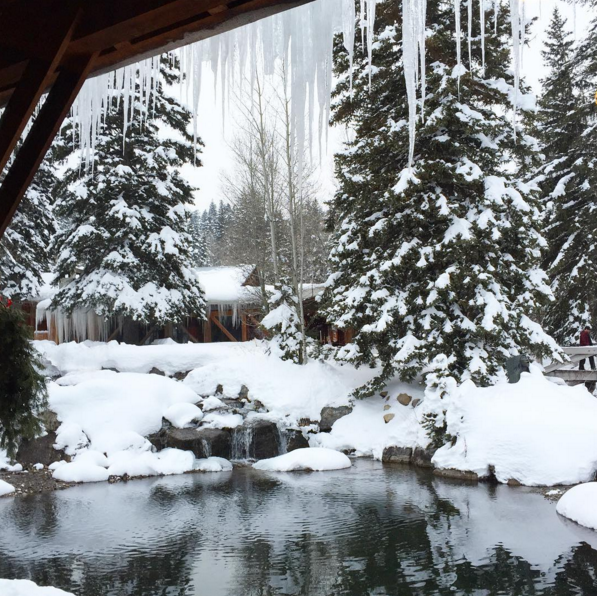 Snowy scene at Sundance Resort