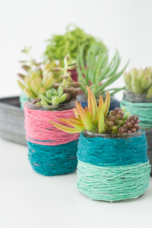 Block-Color Wrapped Jar Pots for Succulents | Design Mom