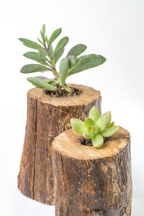 Gorgeous Handmade Gift Ideas featured by top US lifestyle blog, Design Mom: succulent planters