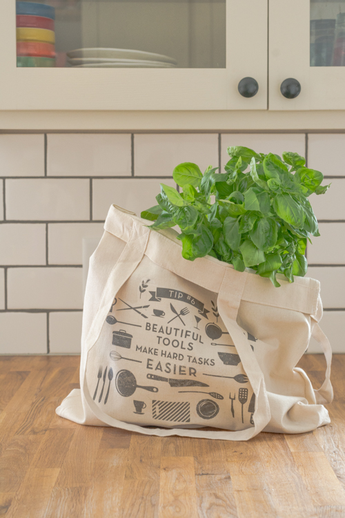 Reusable Grocery Bag Iron-on Printable - Free! A set of six, each with a different tip.
