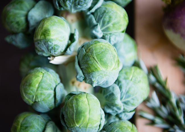 brussels-sprouts-on-stalk