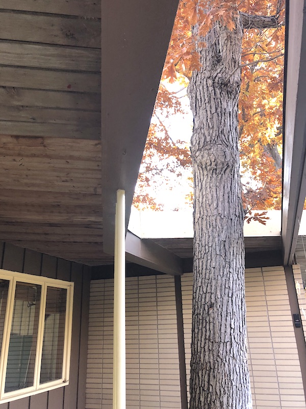 Living with Kids: Alyse Cullen's Minnesota mid-century home featured on top design blog, Design Mom